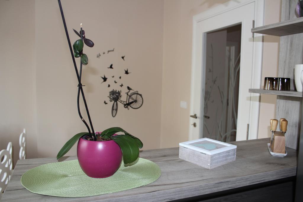 Orchid House Belgrado Exterior foto